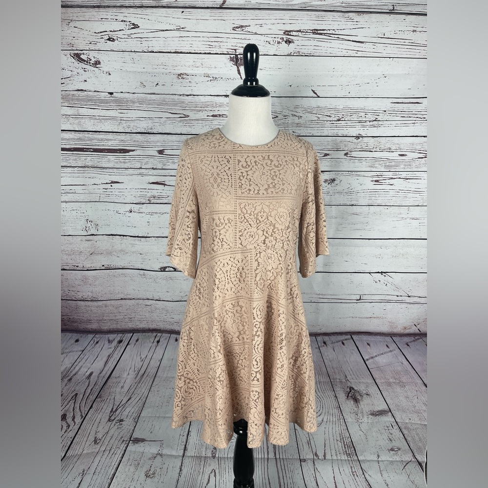 Zara‎ Basic Collection Pink Lace A Line Dress Size Small 3/4 Sleeve Solid